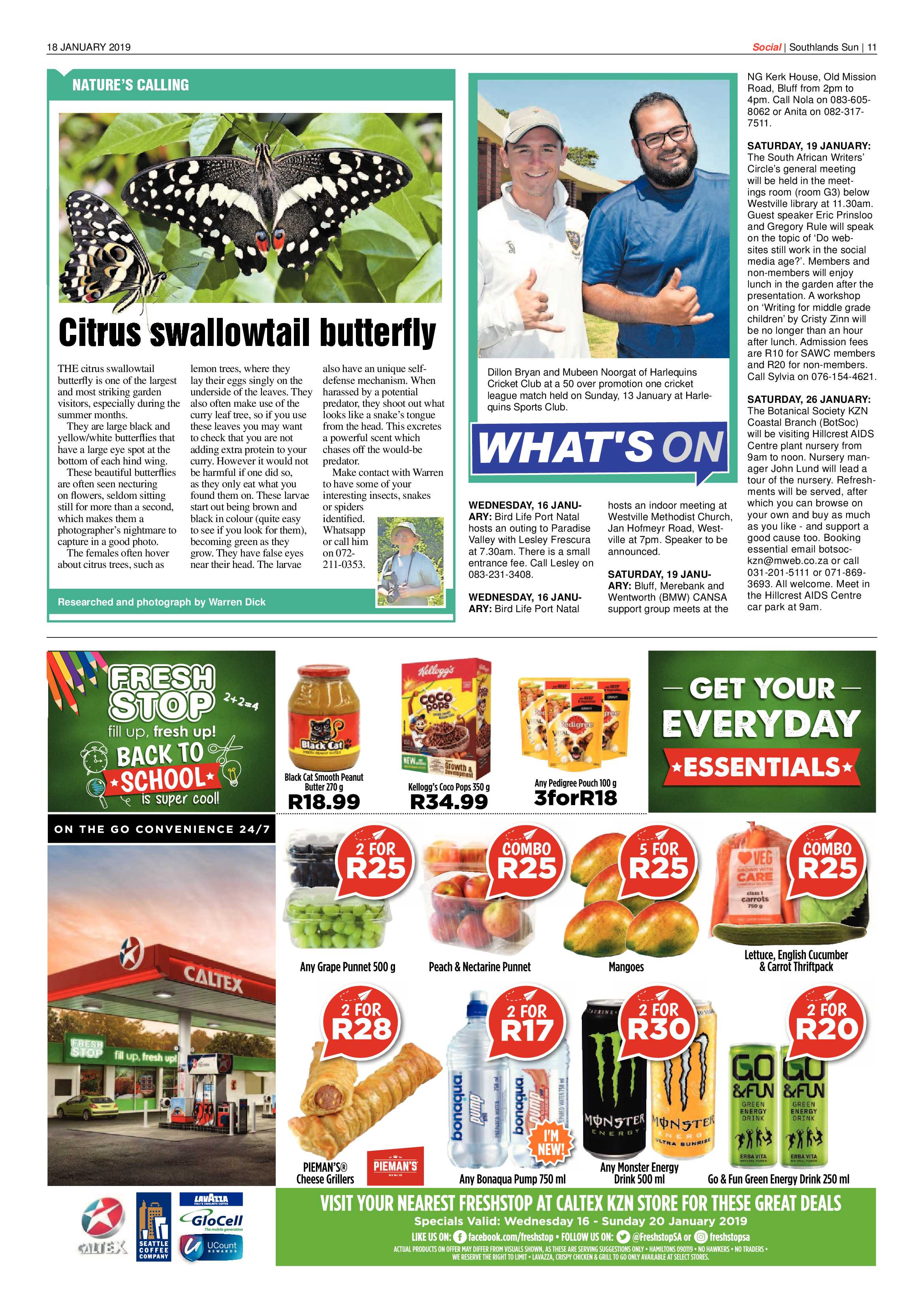 18 January 2019 page 11